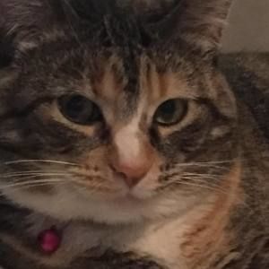 Meet your Posher, Kyla